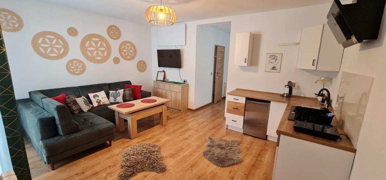 זקופאנה Apartament Na Brzyzku מראה חיצוני תמונה