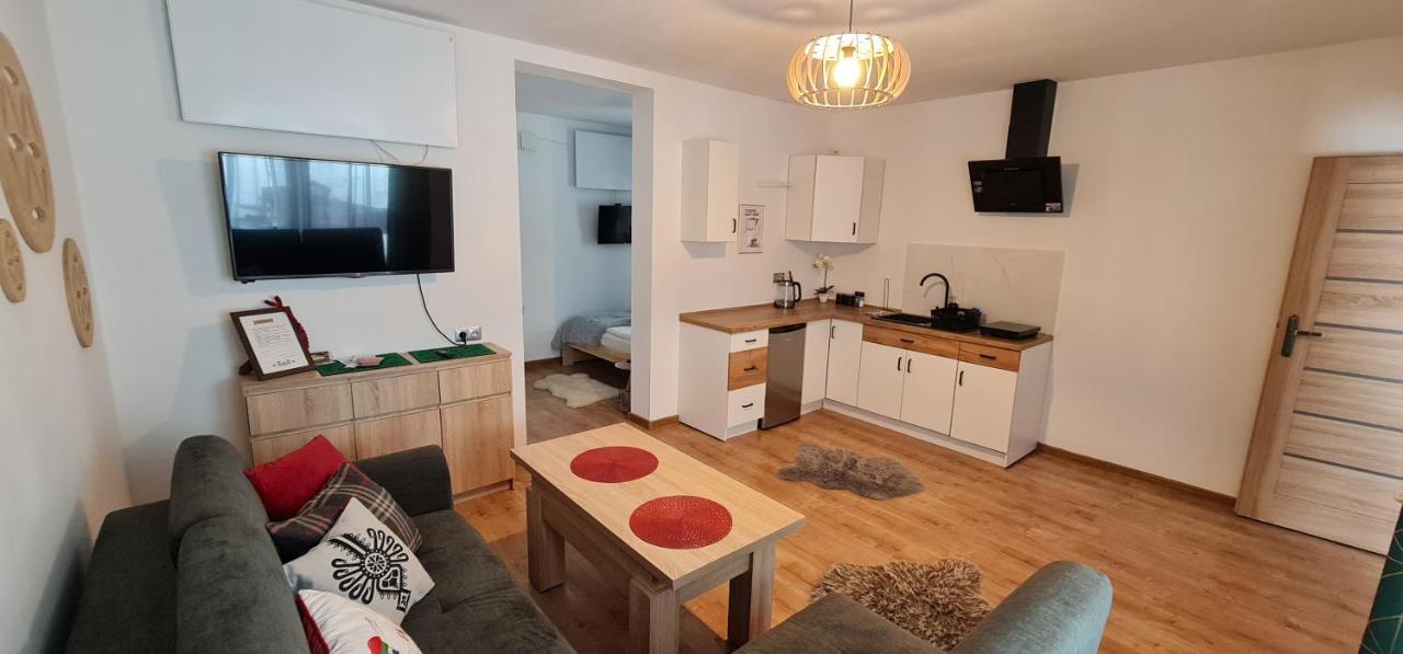 זקופאנה Apartament Na Brzyzku מראה חיצוני תמונה